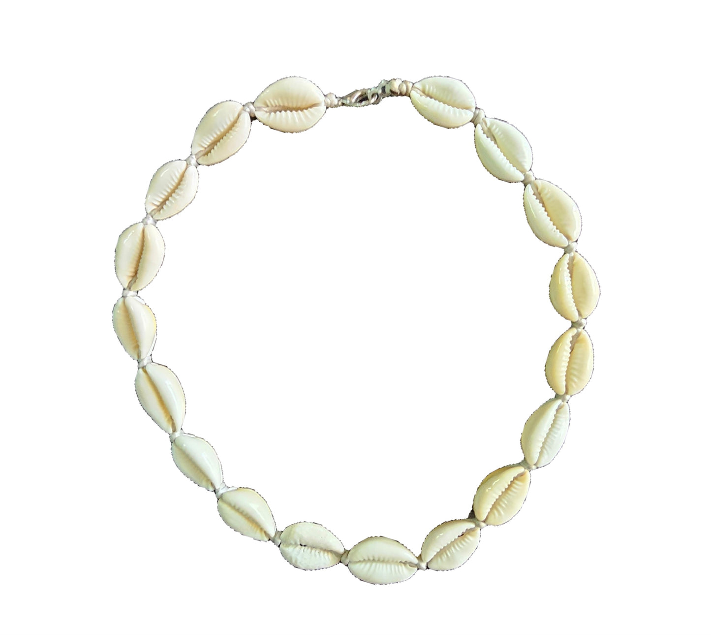 Cowrie Jewelry