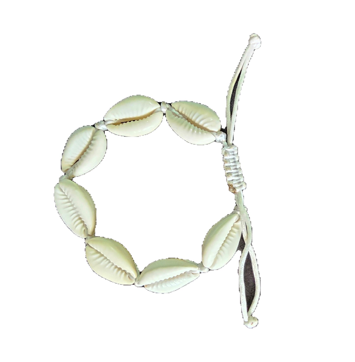 Cowrie Jewelry