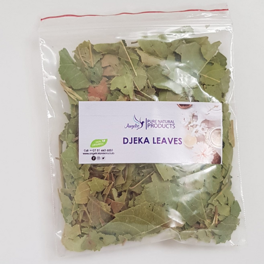 Djeka Leaves (Alchornea cordifolia)