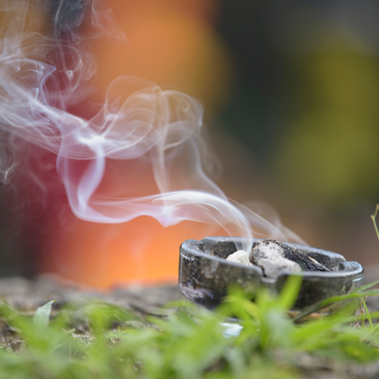 Telephonic Consultation