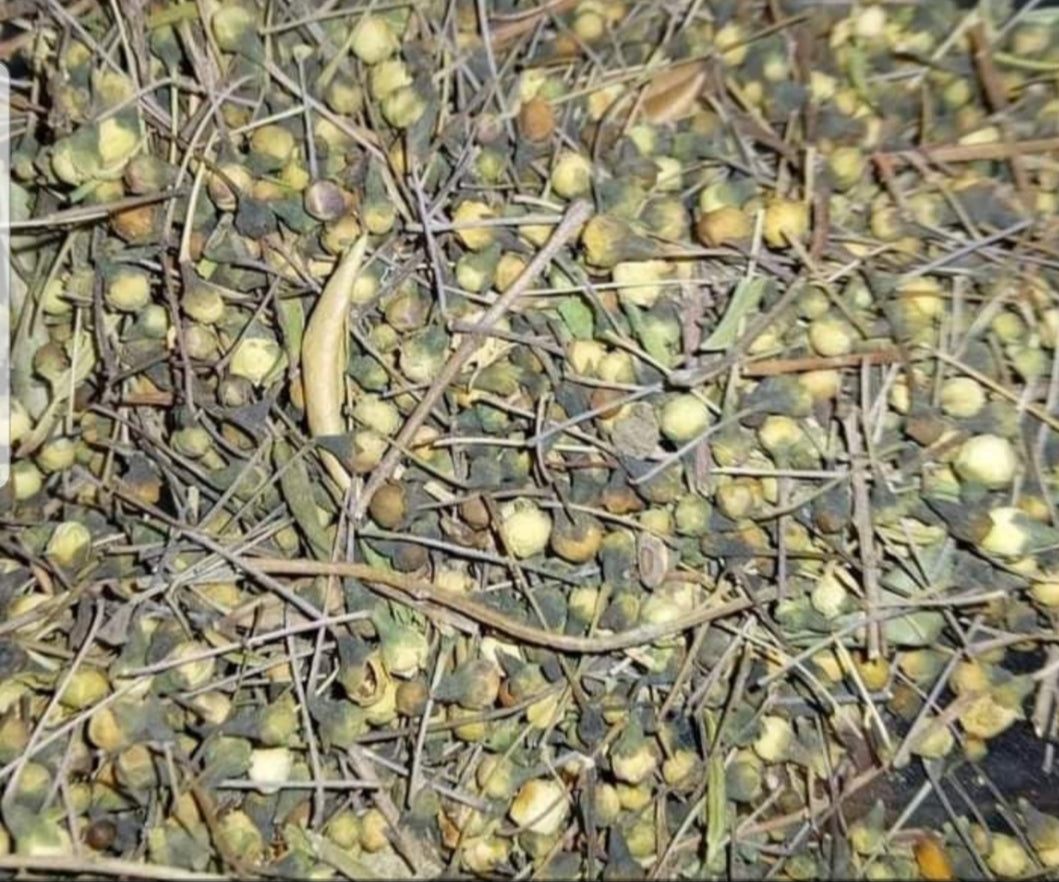 Minannas Natural Herb