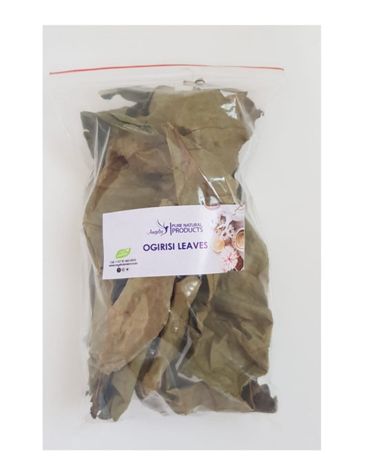 Neubouldia Laevis (Ogilisi)