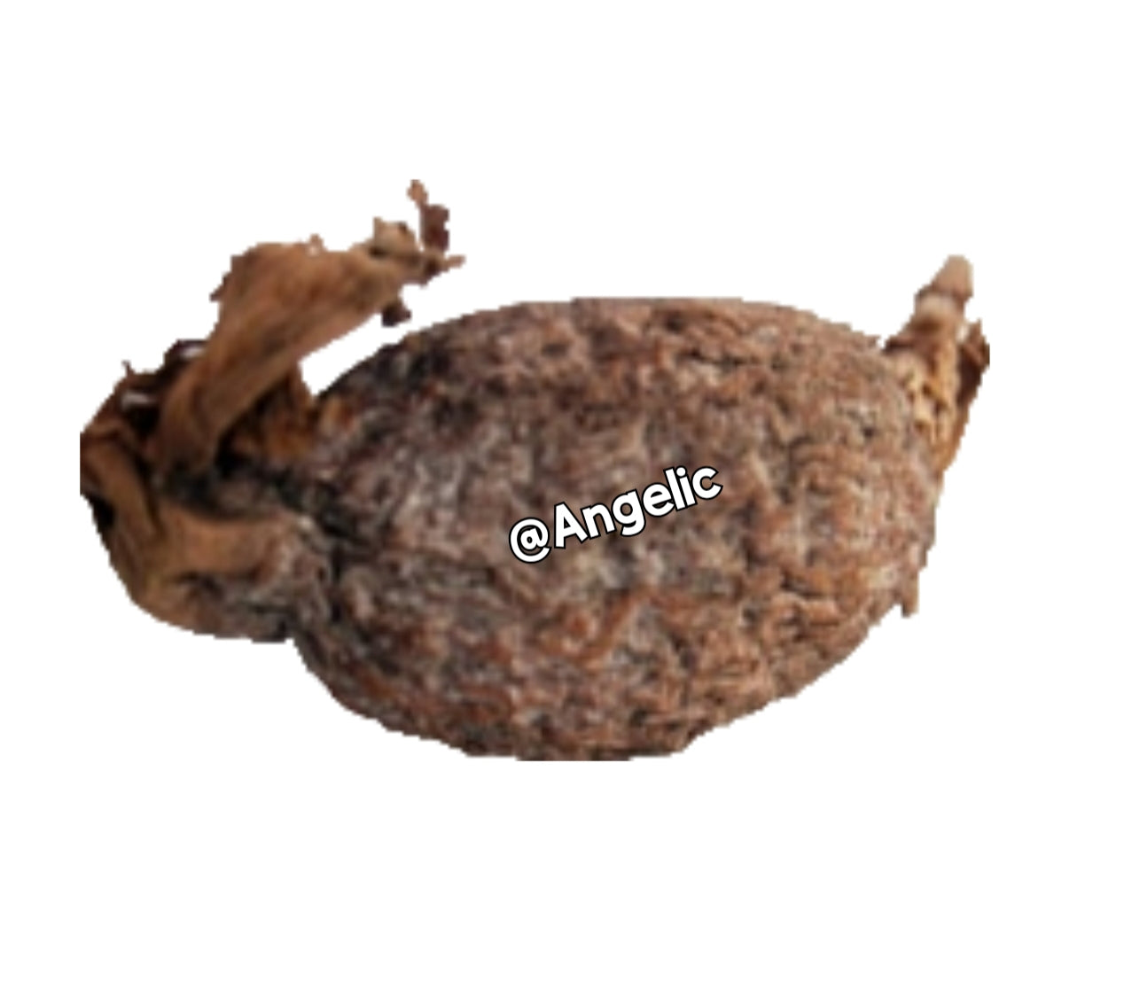 Alligator Pepper (Native)