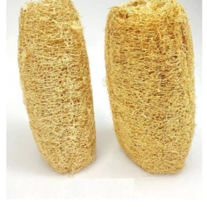 Native Sponge – angelicpurenaturalproducts