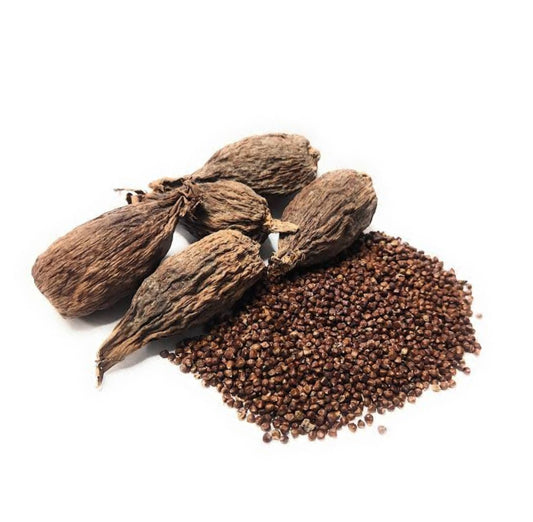 Alligator Pepper (Native)