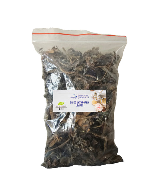 Dried Red Jathropha Leaves